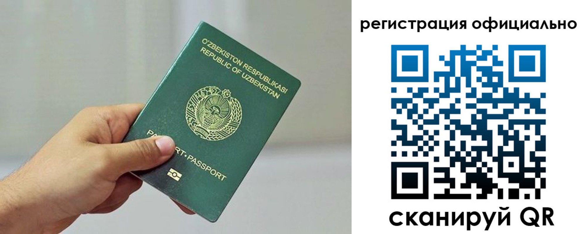 прописка поиск в Ростове-на-Дону